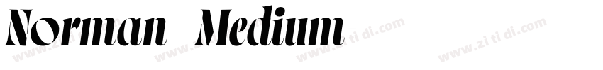 Norman   Medium字体转换
